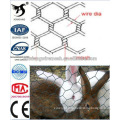 Hot dipped galvanized hexagonal wire mesh /cheap rabbit cage